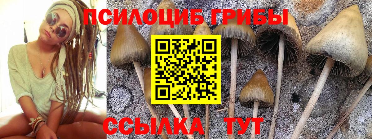 Псилоцибиновые грибы прущие грибы Черногорск